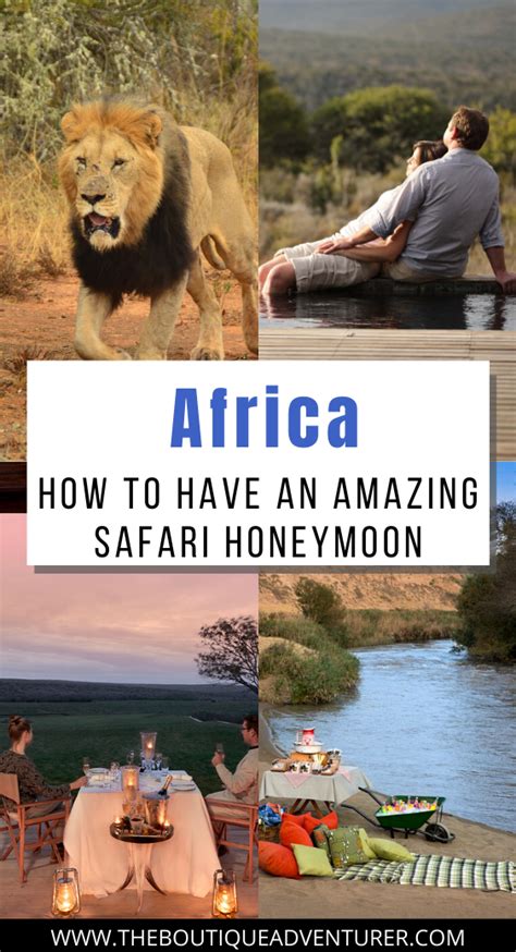 Africa Honeymoon Ideas Your Complete Guide Africa Honeymoon Africa