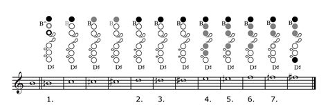 The Kingma System Alto Flute A Practical Guide For Composers And