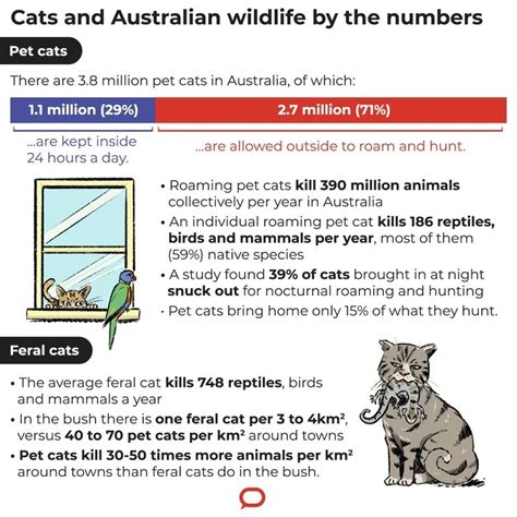 Lock Up Your Pet Cat Its A Killing Machine The University Of Sydney