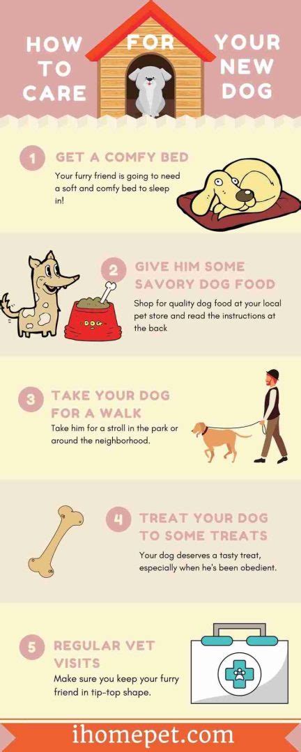What You Need To Take Care Of A Dog