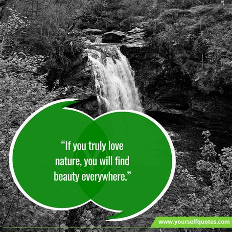 Beautiful Nature Quotes