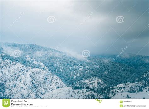 Snow Capped Mountains And Trees Surrounded By Fog And Clouds Stock