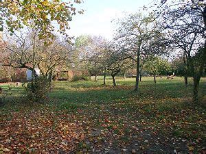 Maybe you would like to learn more about one of these? Garten in Erfurt Melchendorf zum Kaufen, Immobilienmakler