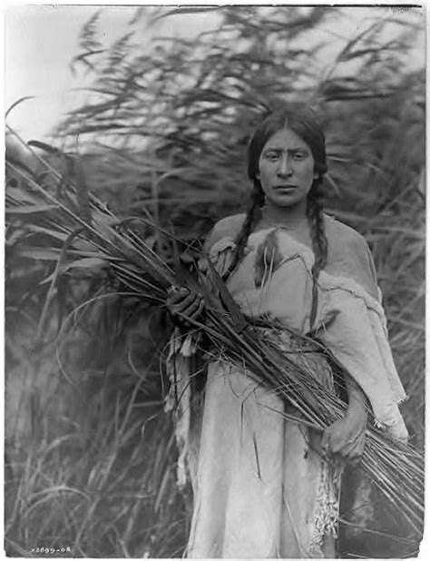 Shoshone Woman Native American Women Native American Culture Native American History