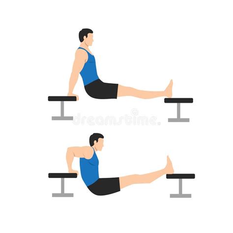 Man Doing Chair Bench Tricep Dips Exercise Stock Vector Illustration