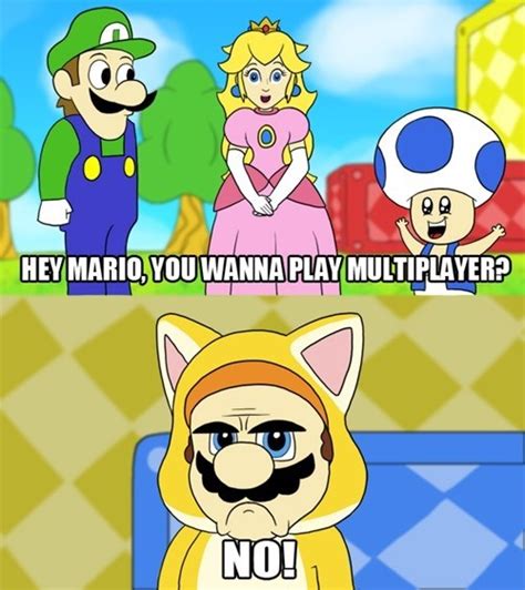 Grumpy Cat Mario Super Mario Know Your Meme