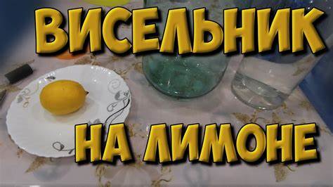 Лучшая лимонная диета Лучшая лимонная настойка "висельник" на лимоне. Попробуй и ты удивишься Лучшая лимонная настойка "висельник" на лимоне. Попробуй и ты удивишься Лучшая лимонная диета