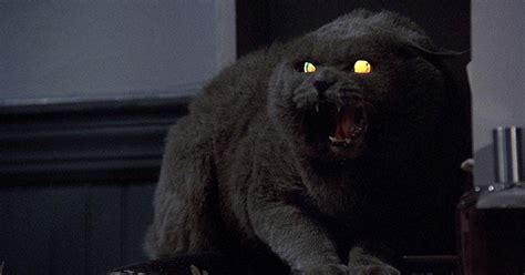 The Best Horror Movies About Animals Ranked