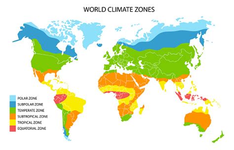 World Climate Zones Map Vector Geographic Infographics Stock