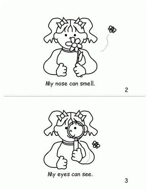 5 Senses: Coloring Pages & Books - 100% FREE and printable!