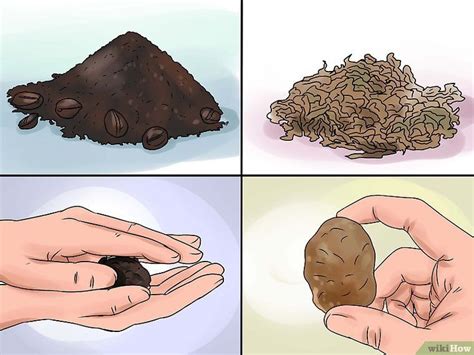 Maybe you would like to learn more about one of these? How to Get Rid of Common House Geckos | Gecko, Common ...