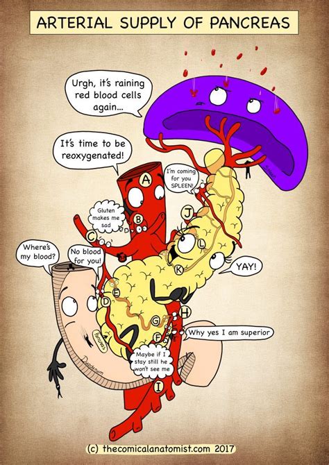 Sad Pancreas Cartoon The Community Began As A Tumblr Blog Called
