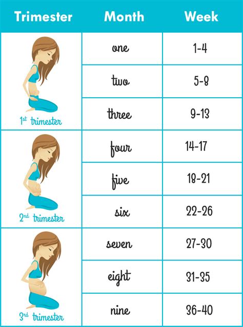 How To Calculate Pregnancy Weeks And Months Accurately Pregnancy
