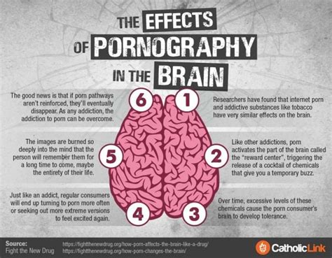 The Effects Of Pornograhy On The Brain Catholic Link
