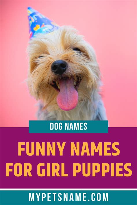 Girl Funny Dog Names Funny Dog Names Dog Names Funny