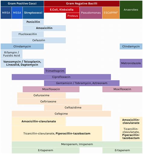 Spectrum Of Antibiotics Chart