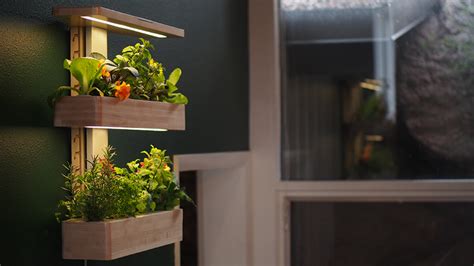 This Clever Edn Wallgarden Grows Your Herbs For You Home Tech Star