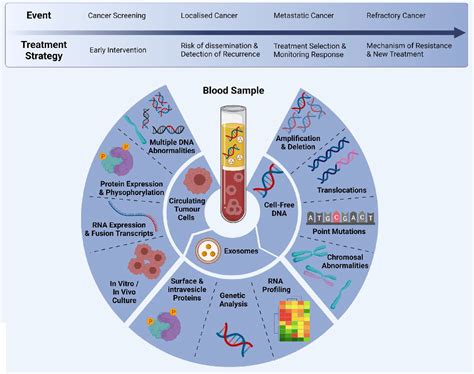 Figure 2 From The Role Of Circulating Biomarkers In Lung Cancer