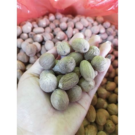 Jual Biji Pala 100g Gram Nutmeg Whole Dijamin Fresh Shopee Indonesia