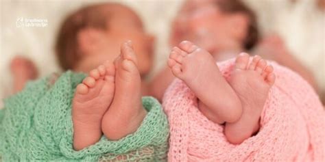 Trudnoća Po Nedeljama Razvoj Bebe I Promene U Telu Trudnice