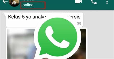 Mengapa saya tidak mendapatkan notifikasi? Cara agar tidak terlihat online di WhatsApp Android dan ...