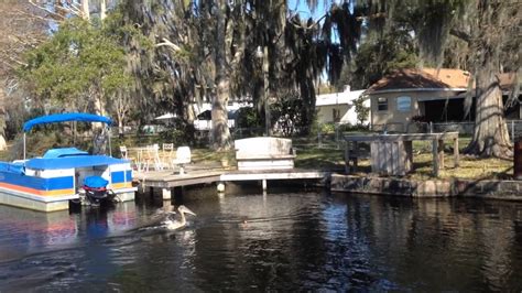 Across its longest point and over 8 kms. Lake Rousseau Florida Wild Shinner Fishing Trip - YouTube