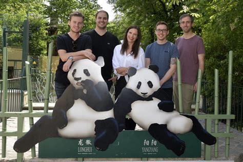 The company was founded in late 2014 and has since grown to become. Bitpanda als Panda-Paten - Tiergarten Schönbrunn