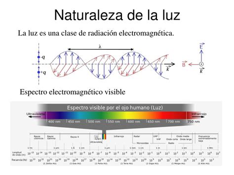 Ppt Naturaleza De La Luz Powerpoint Presentation Free Download Id