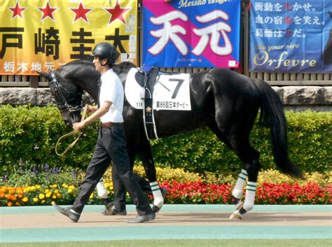 ダノンキングリー (danon kingly) は、日本の競走馬。主な勝ち鞍は2019年の毎日王冠（gii）、共同通信杯（giii）、2020年の中山記念（gii）。 馬名の意味は冠名＋王にふさわしい、王位に君臨することを願って。 毎日王冠2019予想・本命馬はダノンキングリー | 競馬で生活する ...