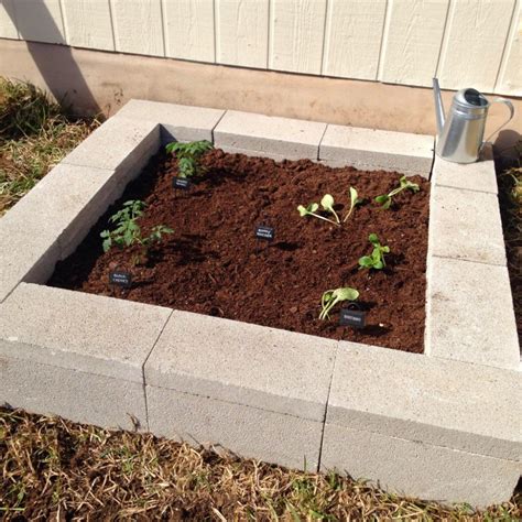 But the most crucial one is you can grow a garden even in 31. DIY Cinder Block Raised Garden Bed | Cinder block garden ...