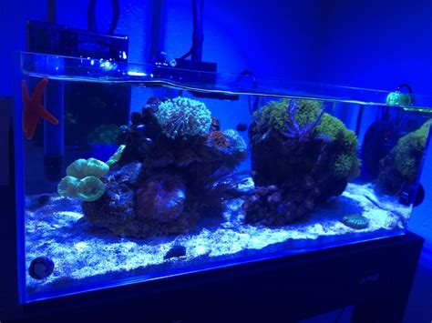 Tank Shots Nano Reef Community