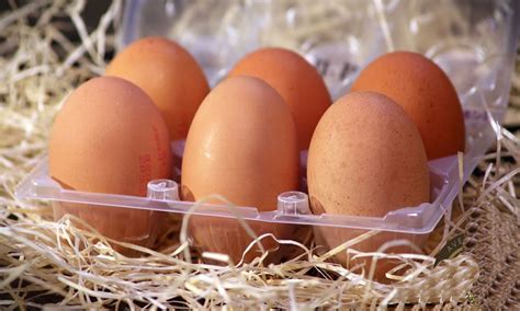 Los huevos, a menudo, se usaban con fines de adivinación. La docena de huevos no debe costar más de $145 - Diario ...