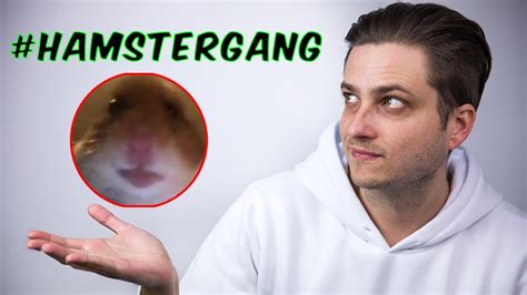 Hamster Cult Noul Trend Viral De Pe Tiktok Youtube
