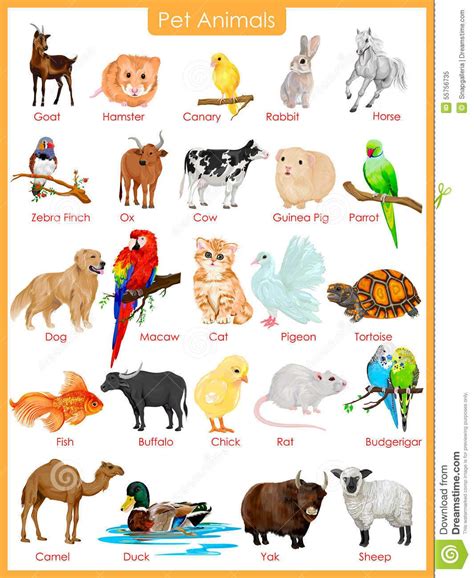 See pages that link to and include this page. Image result for pet animals pictures | Animals for kids ...