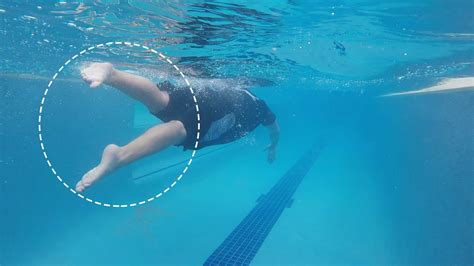 Freestyle Kicks Improvement Tips For Beginners Rocket Swimming