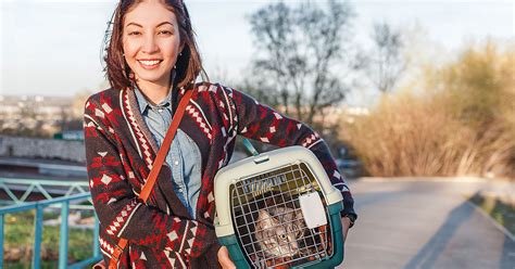 Keep an eye out for specials. Steps to a Stress-Free Vet Visit for Your Cat | Zoetis Petcare