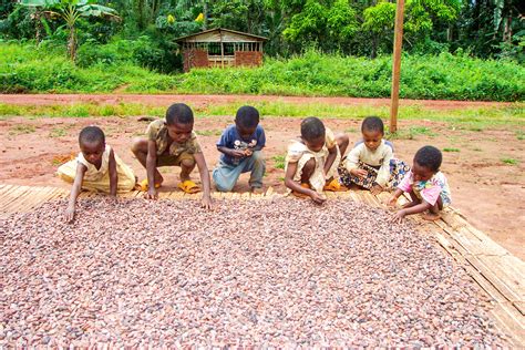 What You Need To Know About Chocolate And Child Slave Labor — The
