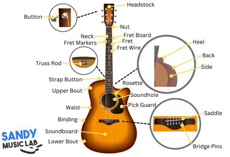 Acoustic Guitar Anatomy Parts Of The Acoustic Guitar Diagram