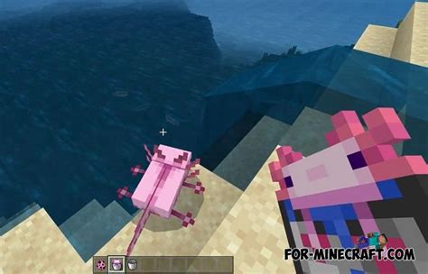 Minecraft 117 Axolotl Colors Minecraft Tutorial And Guide