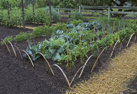 Veggie Garden Design Ideas Make Your Vegetable Garden
