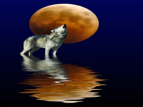 48 Wolf Moon Wallpaper On Wallpapersafari