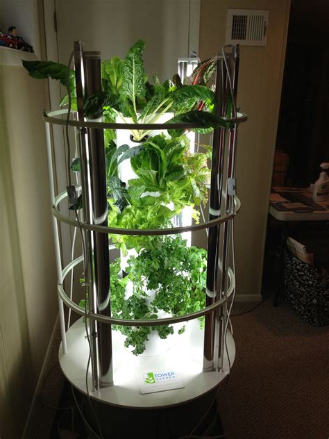 Pin On Gardening With The Tower Garden