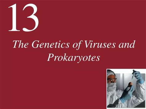 Ppt The Genetics Of Viruses And Prokaryotes Powerpoint Presentation