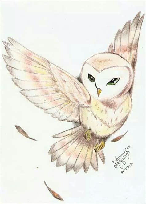 Pin By Billy Rivera On Nature Owls Drawing Bird Drawings Drawings
