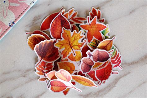 Maple Leaves Stickersautumn Leaves Stickers Planner Etsy