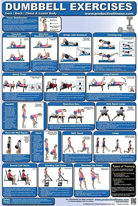 fitness poster back and core dumbbell exercises for home use laminated mx deportes