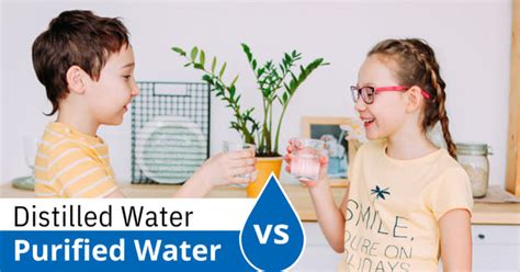 Distilled Water Vs Purified Water What Are The Differences