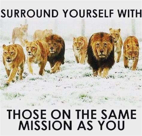 Surround Yourself With Better People Than You Are You Are The Average