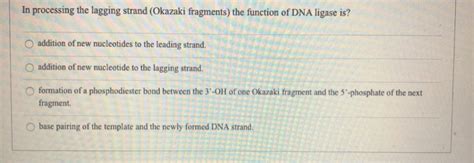 This is the currently selected item. Solved: In Processing The Lagging Strand (Okazaki Fragment ...