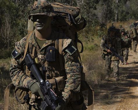 The operating forces that do the actual. List of United States Marine Corps acronyms and ...